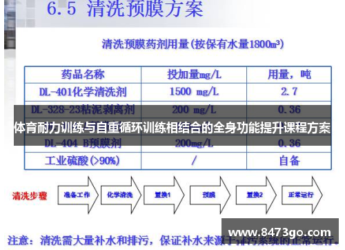 体育耐力训练与自重循环训练相结合的全身功能提升课程方案