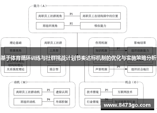 基于体育循环训练与社群挑战计划节奏达标机制的优化与实施策略分析